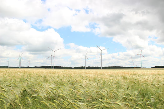 Image by Esa Niemela from Pixabay